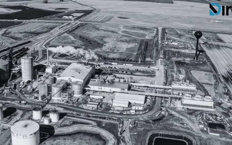 Untitled design - 2025-05-23T110948.008